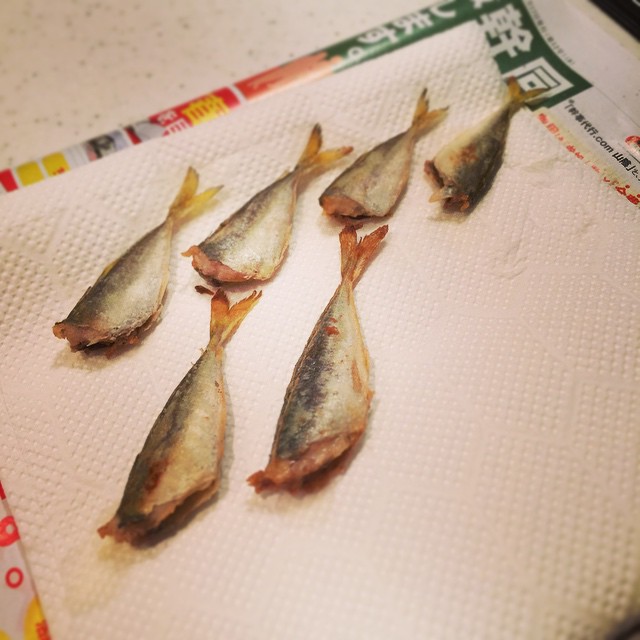 ほんじつの釣果が着々と